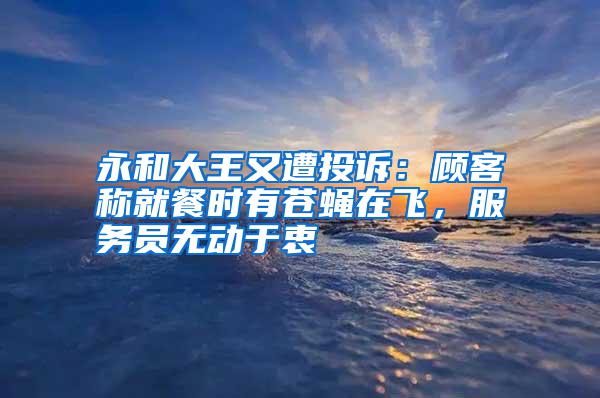 永和大王又遭投訴：顧客稱就餐時有蒼蠅在飛，服務員無動于衷