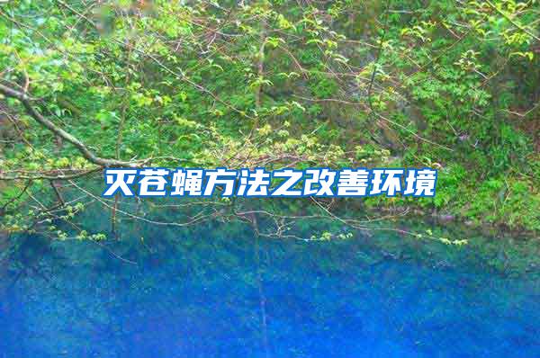 滅蒼蠅方法之改善環(huán)境