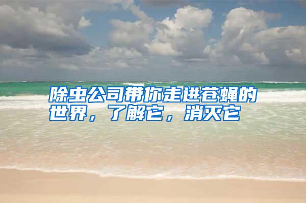 除蟲公司帶你走進蒼蠅的世界,了解它,消滅它