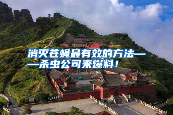 消滅蒼蠅最有效的方法——殺蟲公司來爆料!