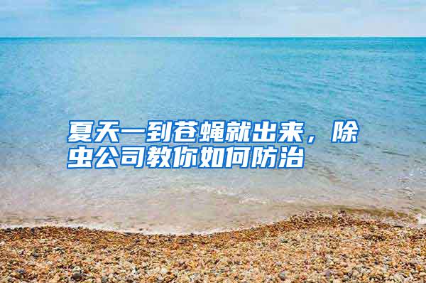 夏天一到蒼蠅就出來,除蟲公司教你如何防治