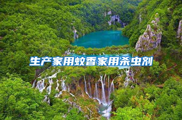 生產(chǎn)家用蚊香家用殺蟲劑