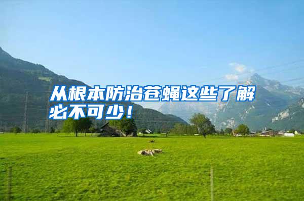 從根本防治蒼蠅這些了解必不可少!