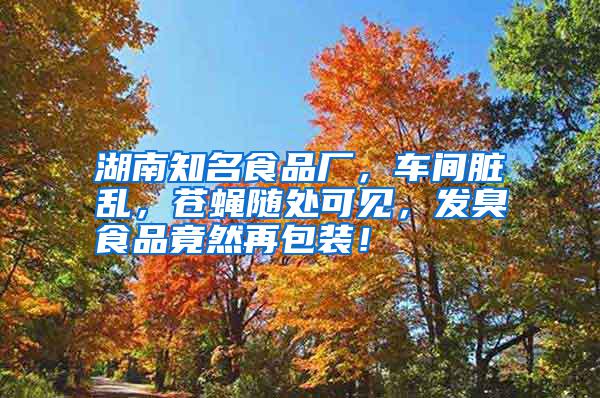 湖南知名食品廠,車間臟亂,蒼蠅隨處可見,發(fā)臭食品竟然再包裝!