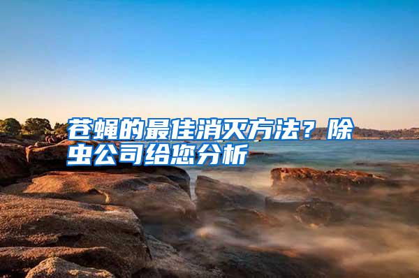 蒼蠅的最佳消滅方法？除蟲公司給您分析