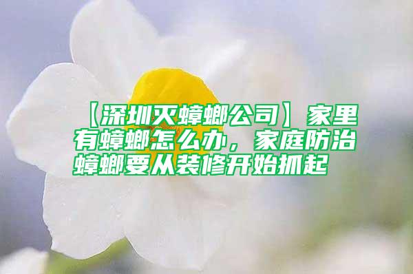 【深圳滅蟑螂公司】家里有蟑螂怎么辦,家庭防治蟑螂要從裝修開始抓起