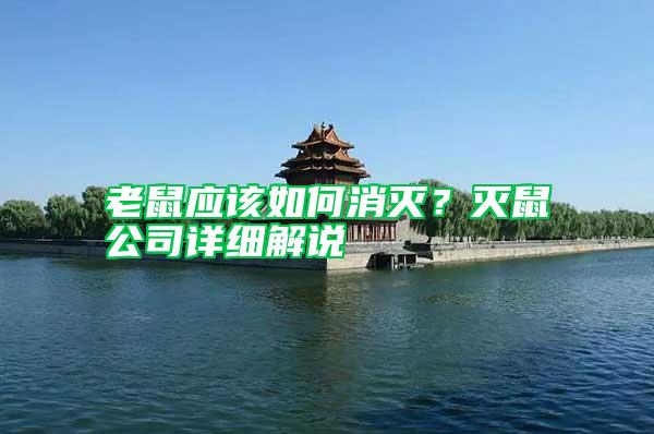 老鼠應該如何消滅？滅鼠公司詳細解說