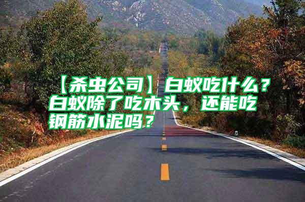 【殺蟲公司】白蟻吃什么？白蟻除了吃木頭，還能吃鋼筋水泥嗎？