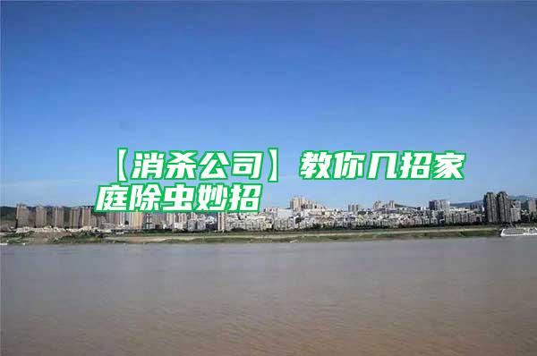 【消殺公司】教你幾招家庭除蟲(chóng)妙招