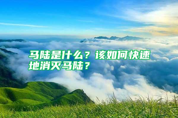 馬陸是什么？該如何快速地消滅馬陸？