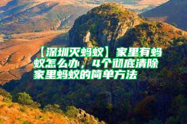 【深圳滅螞蟻】家里有螞蟻怎么辦，4個徹底清除家里螞蟻的簡單方法