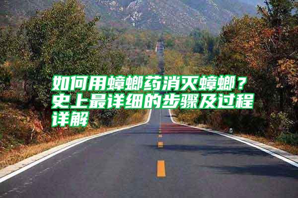 如何用蟑螂藥消滅蟑螂？史上最詳細(xì)的步驟及過(guò)程詳解