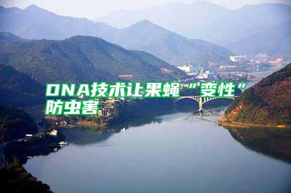 DNA技術讓果蠅“變性”防蟲害