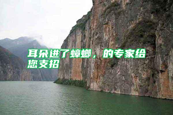 耳朵進(jìn)了蟑螂，的專家給您支招