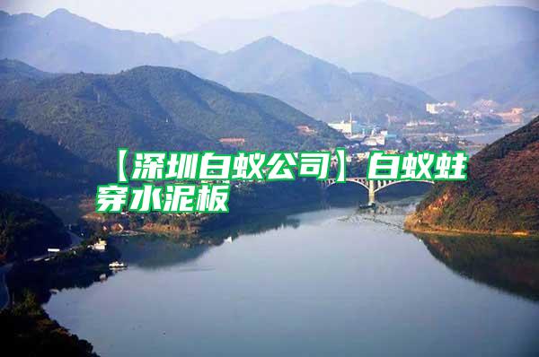 【深圳白蟻公司】白蟻蛀穿水泥板