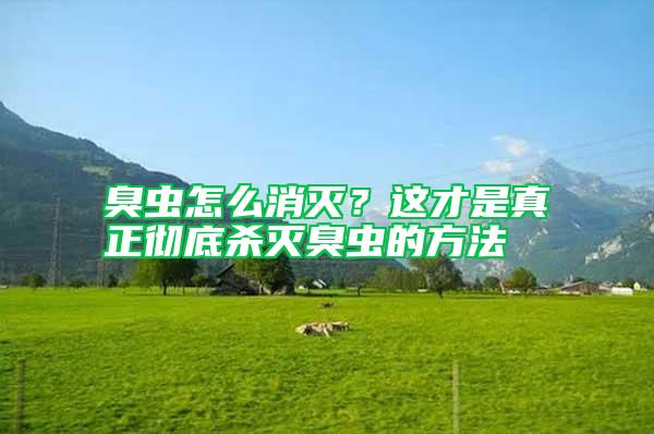 臭蟲怎么消滅?這才是真正徹底殺滅臭蟲的方法