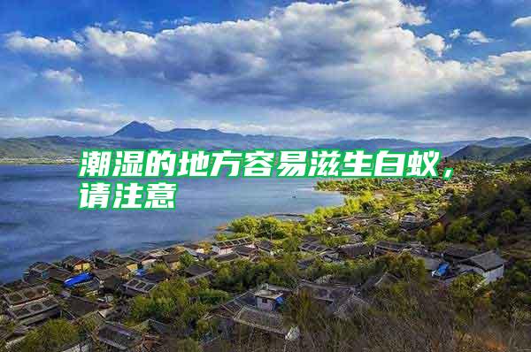 潮濕的地方容易滋生白蟻,請注意