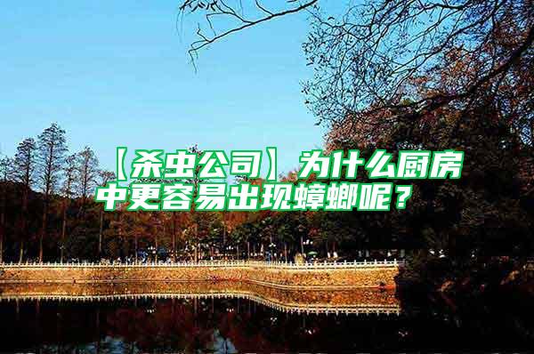 【殺蟲公司】為什么廚房中更容易出現(xiàn)蟑螂呢？