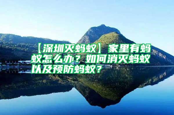 【深圳滅螞蟻】家里有螞蟻怎么辦?如何消滅螞蟻以及預防螞蟻?