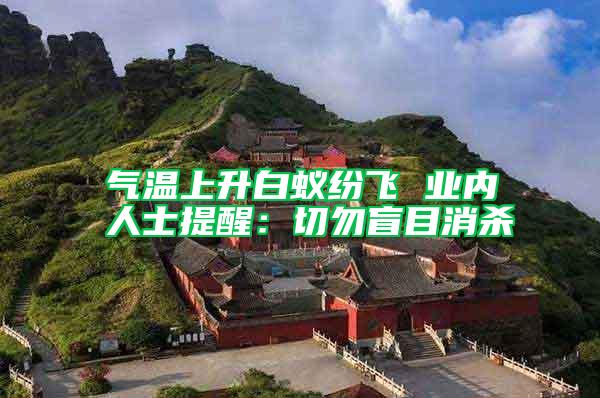 氣溫上升白蟻紛飛 業(yè)內(nèi)人士提醒：切勿盲目消殺