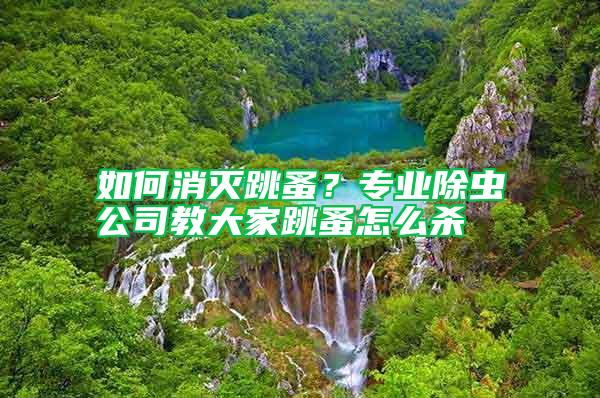 如何消滅跳蚤？專業(yè)除蟲公司教大家跳蚤怎么殺