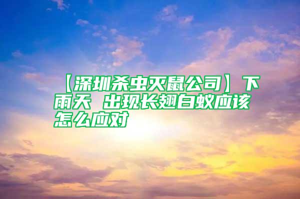 【深圳殺蟲滅鼠公司】下雨天 出現(xiàn)長(zhǎng)翅白蟻應(yīng)該怎么應(yīng)對(duì)