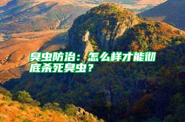 臭蟲防治：怎么樣才能徹底殺死臭蟲？