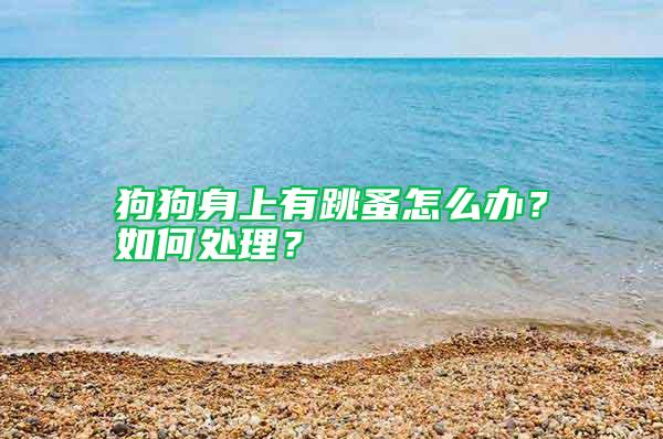 狗狗身上有跳蚤怎么辦？如何處理？