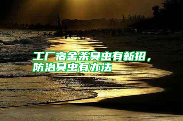工廠宿舍殺臭蟲有新招，防治臭蟲有辦法