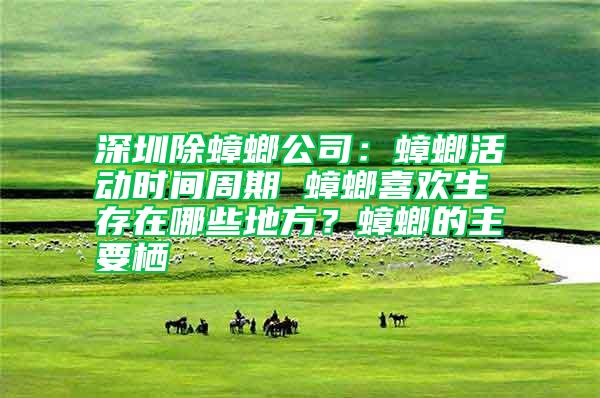 深圳除蟑螂公司：蟑螂活動(dòng)時(shí)間周期 蟑螂喜歡生存在哪些地方？蟑螂的主要棲