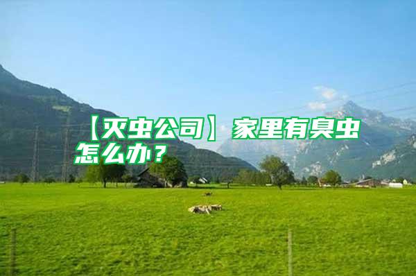 【滅蟲公司】家里有臭蟲怎么辦？