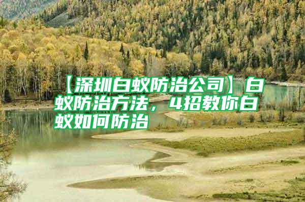 【深圳白蟻防治公司】白蟻防治方法，4招教你白蟻如何防治