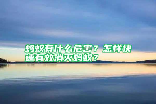 螞蟻有什么危害？怎樣快速有效消滅螞蟻？