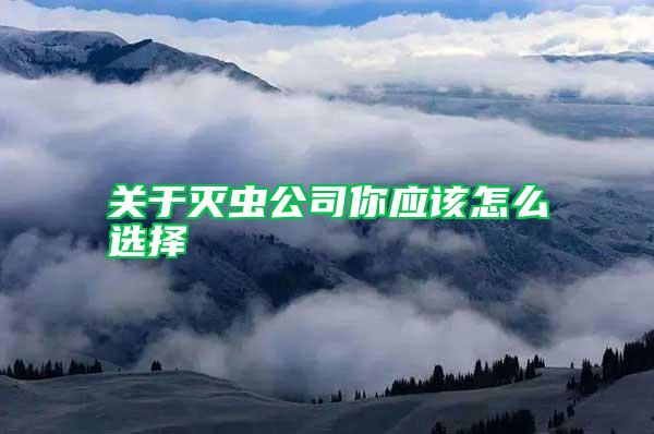 關(guān)于滅蟲公司你應(yīng)該怎么選擇