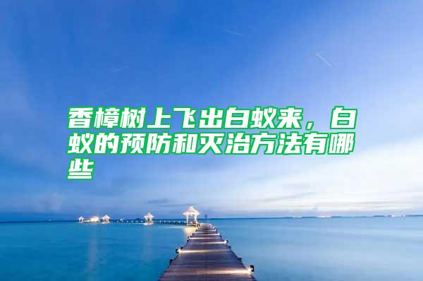 香樟樹上飛出白蟻來，白蟻的預(yù)防和滅治方法有哪些