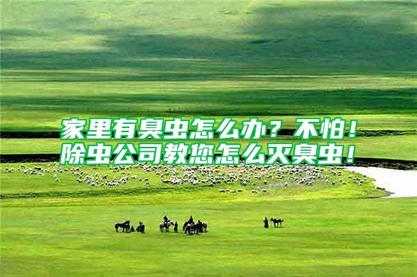 家里有臭蟲怎么辦？不怕！除蟲公司教您怎么滅臭蟲！