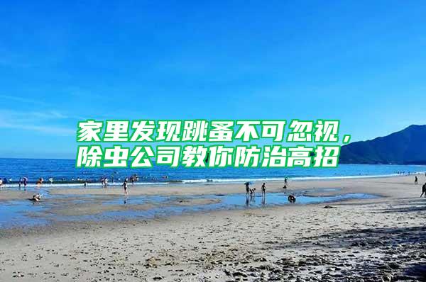 家里發現跳蚤不可忽視,除蟲公司教你防治高招