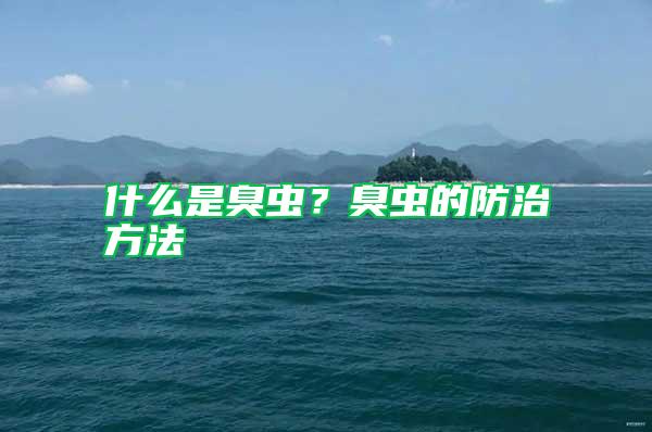 什么是臭蟲？臭蟲的防治方法