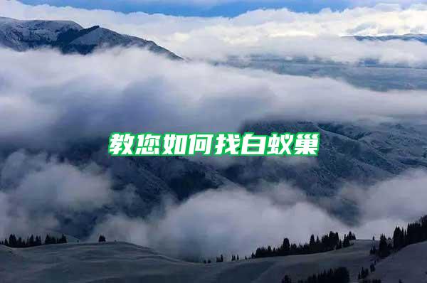 教您如何找白蟻巢