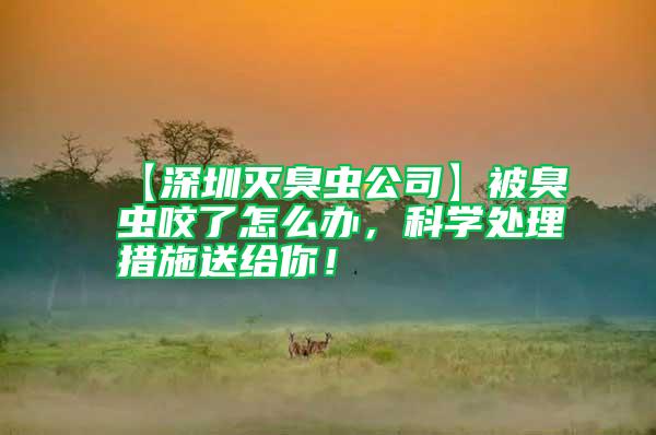 【深圳滅臭蟲公司】被臭蟲咬了怎么辦,科學(xué)處理措施送給你!