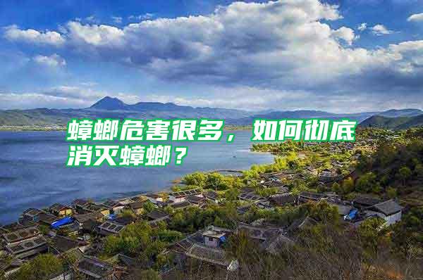 蟑螂危害很多，如何徹底消滅蟑螂？