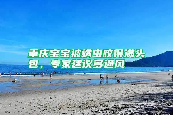 重慶寶寶被螨蟲咬得滿頭包，專家建議多通風(fēng)