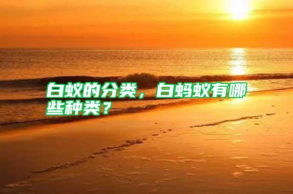 白蟻的分類,白螞蟻有哪些種類?