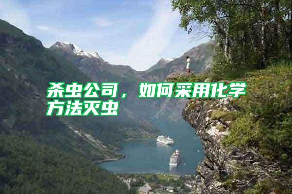 殺蟲公司，如何采用化學方法滅蟲