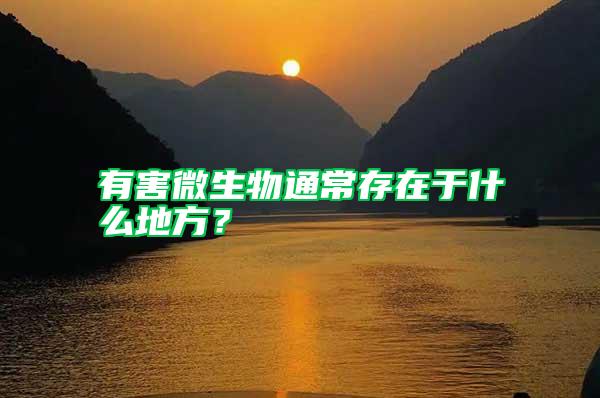 有害微生物通常存在于什么地方？