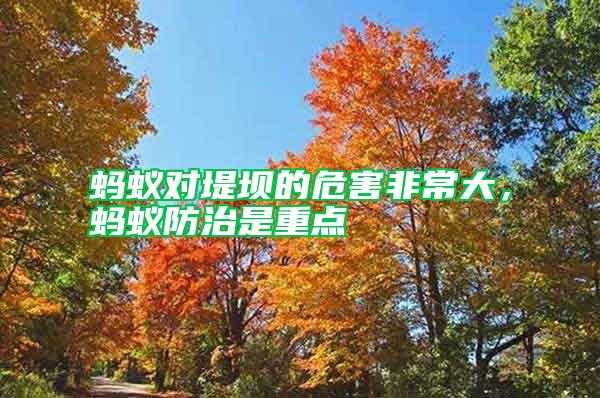 螞蟻對(duì)堤壩的危害非常大,螞蟻防治是重點(diǎn)