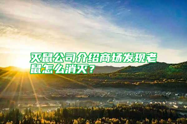 滅鼠公司介紹商場(chǎng)發(fā)現(xiàn)老鼠怎么消滅？