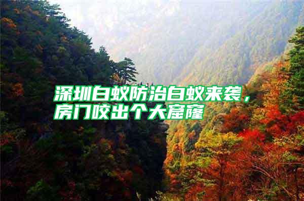 深圳白蟻防治白蟻來襲，房門咬出個(gè)大窟窿