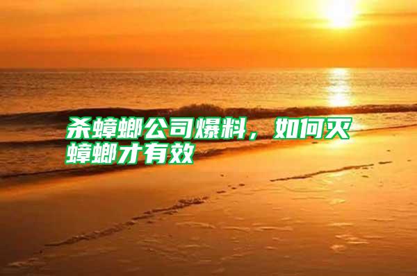 殺蟑螂公司爆料,如何滅蟑螂才有效