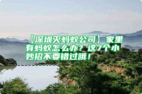 【深圳滅螞蟻公司】家里有螞蟻怎么辦？這7個小妙招不要錯過哦！